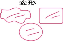 �ʒ��E�ό`�e�[�u���}�b�g